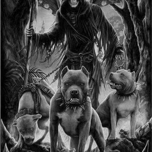 Meet your Posher, Marty